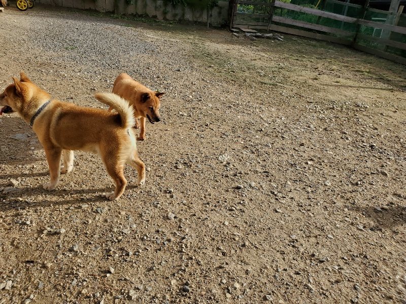 f:id:roukenhome-ann:20190924073017j:plain f:id:roukenhome-ann:20190924073017j:plain