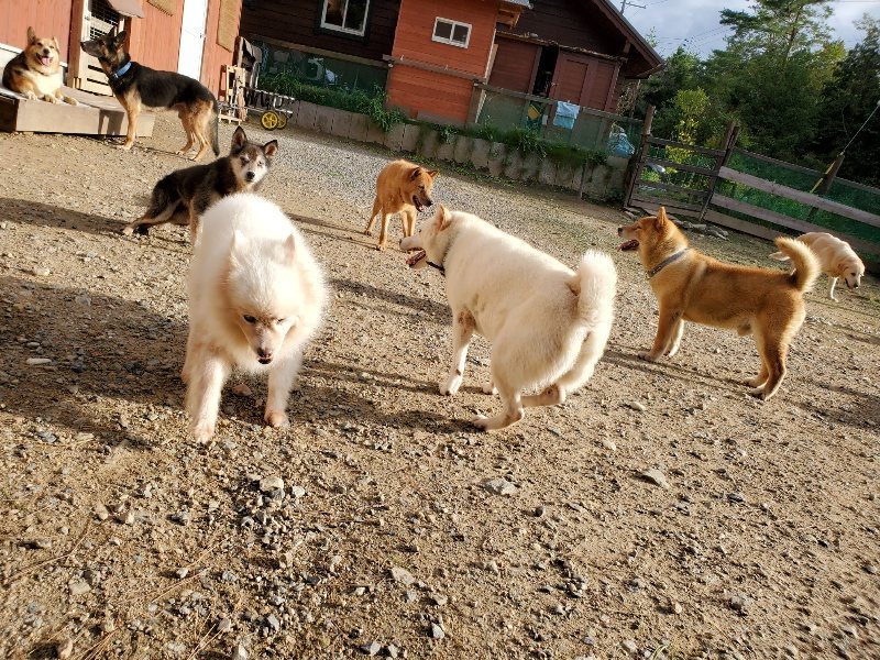 f:id:roukenhome-ann:20190924073712j:plain f:id:roukenhome-ann:20190924073712j:plain