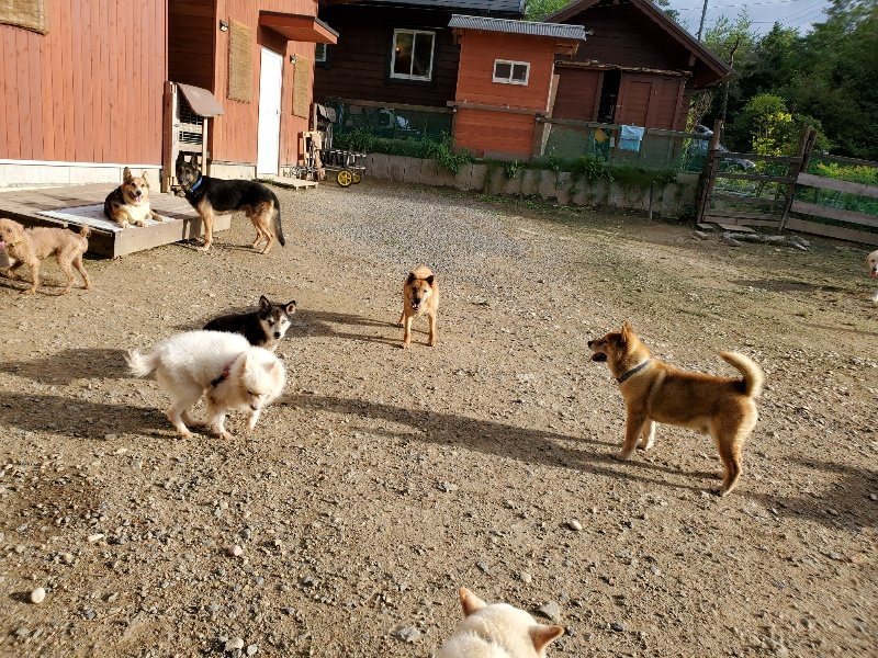 f:id:roukenhome-ann:20190924074021j:plain f:id:roukenhome-ann:20190924074021j:plain