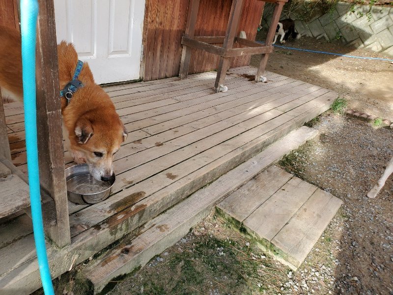 f:id:roukenhome-ann:20190924075006j:plain f:id:roukenhome-ann:20190924075006j:plain