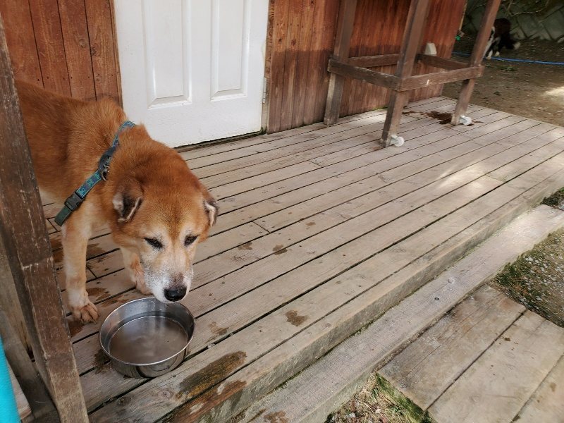 f:id:roukenhome-ann:20190924075059j:plain f:id:roukenhome-ann:20190924075059j:plain