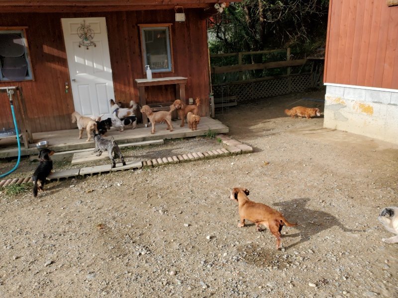 f:id:roukenhome-ann:20190924080253j:plain f:id:roukenhome-ann:20190924080253j:plain
