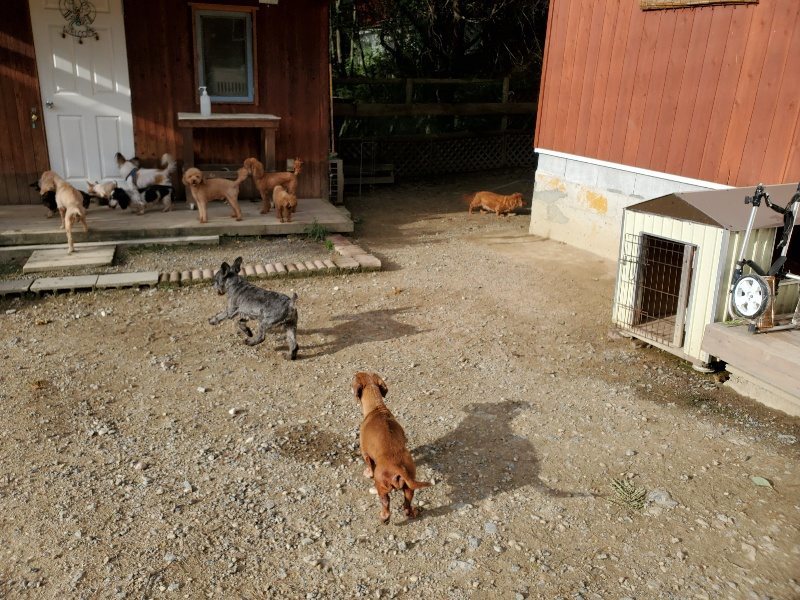 f:id:roukenhome-ann:20190924080337j:plain f:id:roukenhome-ann:20190924080337j:plain