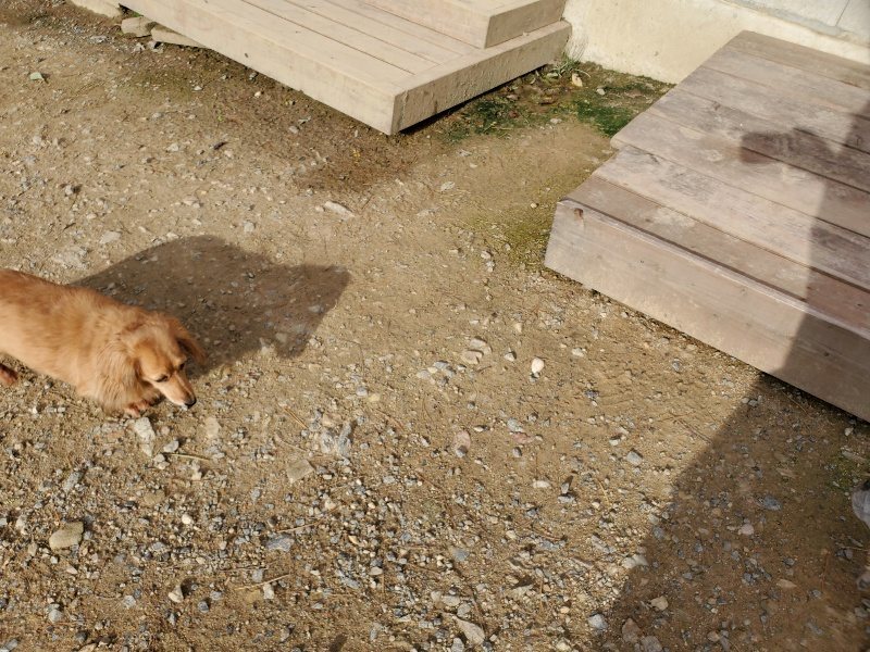f:id:roukenhome-ann:20190924080411j:plain f:id:roukenhome-ann:20190924080411j:plain