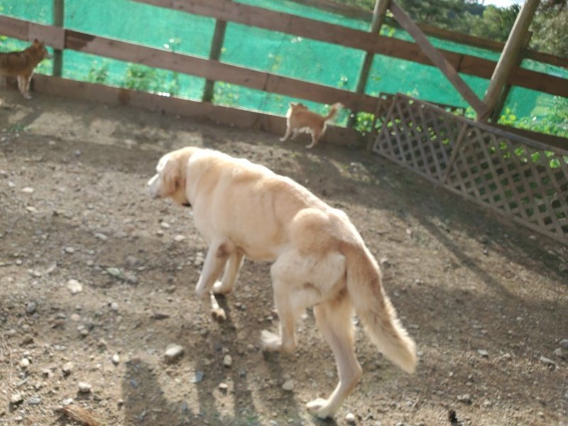f:id:roukenhome-ann:20190924080531j:plain f:id:roukenhome-ann:20190924080531j:plain