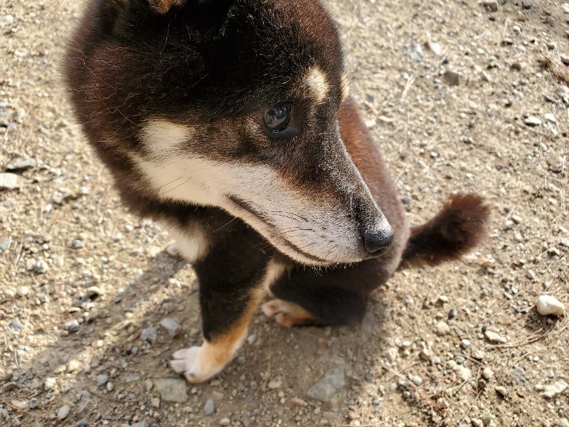 f:id:roukenhome-ann:20190924080754j:plain f:id:roukenhome-ann:20190924080754j:plain