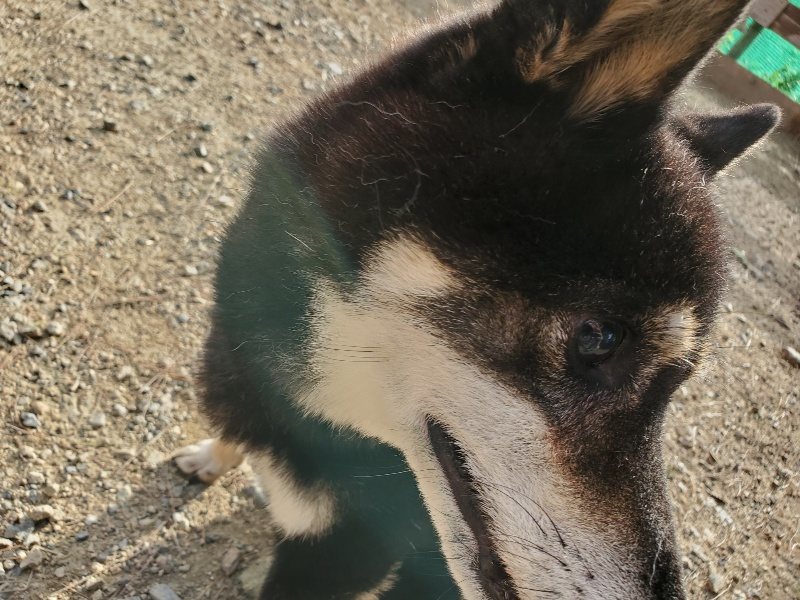 f:id:roukenhome-ann:20190924080759j:plain f:id:roukenhome-ann:20190924080759j:plain