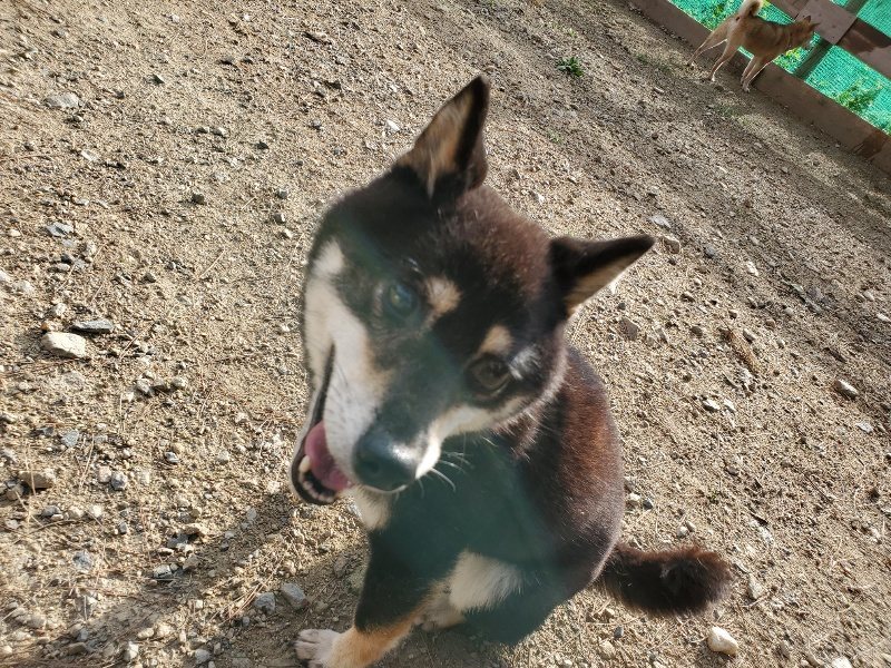 f:id:roukenhome-ann:20190924080805j:plain f:id:roukenhome-ann:20190924080805j:plain