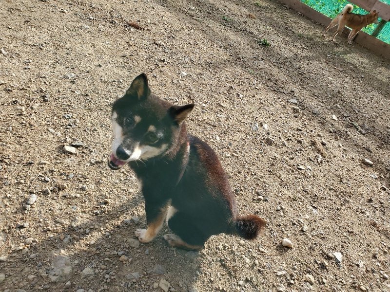 f:id:roukenhome-ann:20190924080818j:plain f:id:roukenhome-ann:20190924080818j:plain