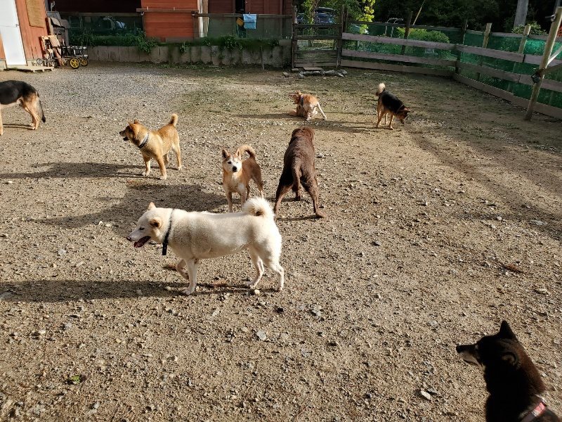f:id:roukenhome-ann:20190924080824j:plain f:id:roukenhome-ann:20190924080824j:plain