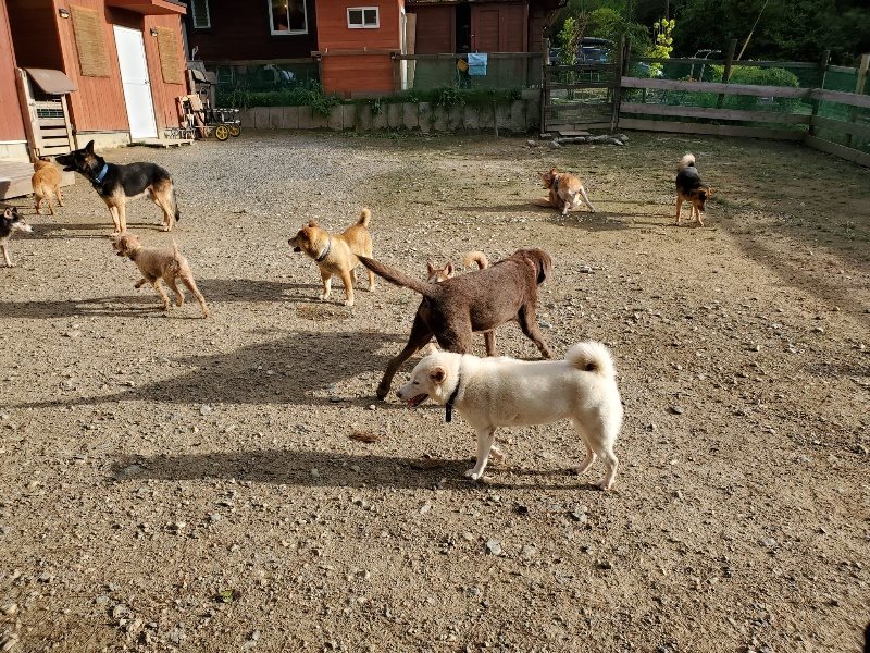 f:id:roukenhome-ann:20190924080831j:plain f:id:roukenhome-ann:20190924080831j:plain