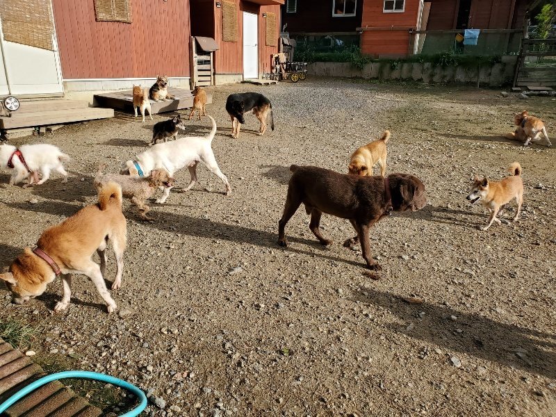 f:id:roukenhome-ann:20190924080838j:plain f:id:roukenhome-ann:20190924080838j:plain