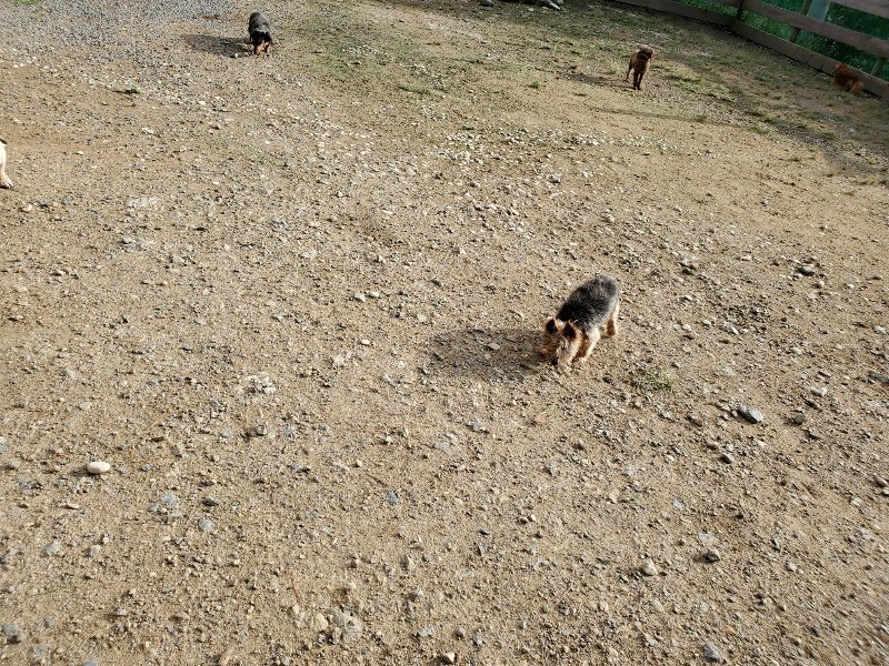 f:id:roukenhome-ann:20190924080848j:plain f:id:roukenhome-ann:20190924080848j:plain