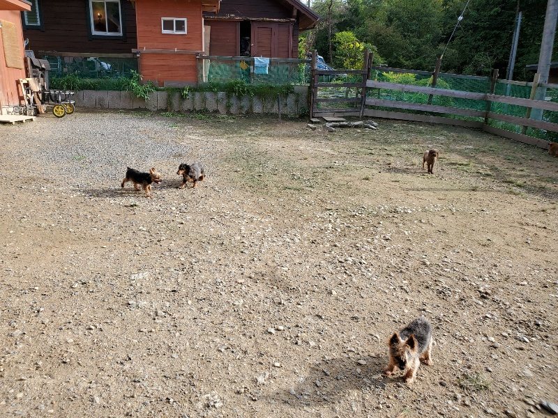 f:id:roukenhome-ann:20190924080858j:plain f:id:roukenhome-ann:20190924080858j:plain
