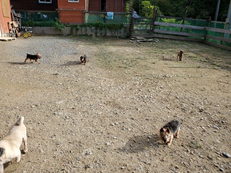 f:id:roukenhome-ann:20190924080913j:plain f:id:roukenhome-ann:20190924080913j:plain
