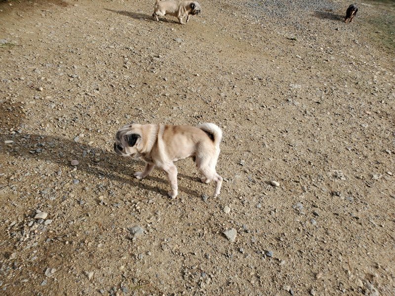 f:id:roukenhome-ann:20190924080929j:plain f:id:roukenhome-ann:20190924080929j:plain