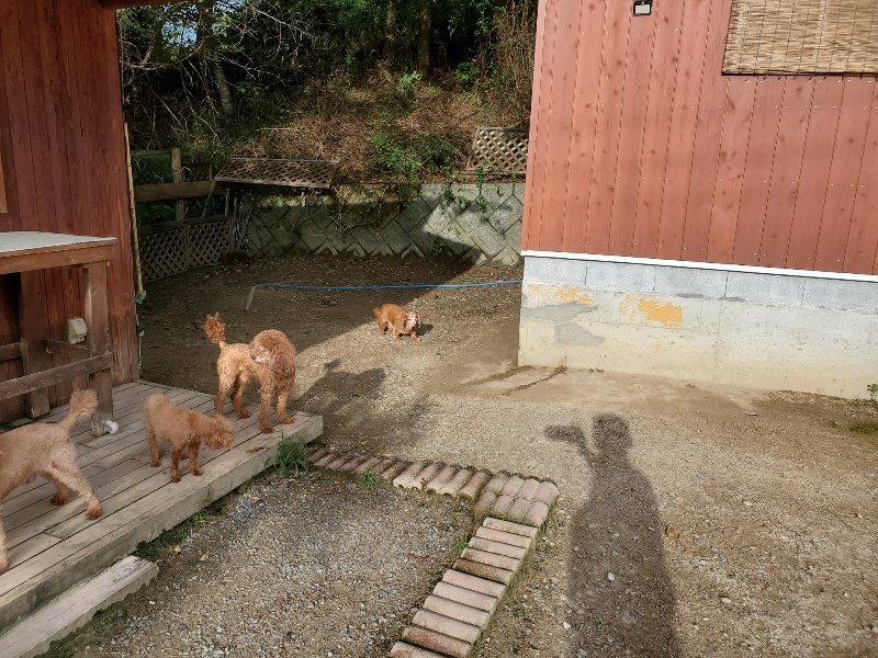 f:id:roukenhome-ann:20190924080939j:plain f:id:roukenhome-ann:20190924080939j:plain