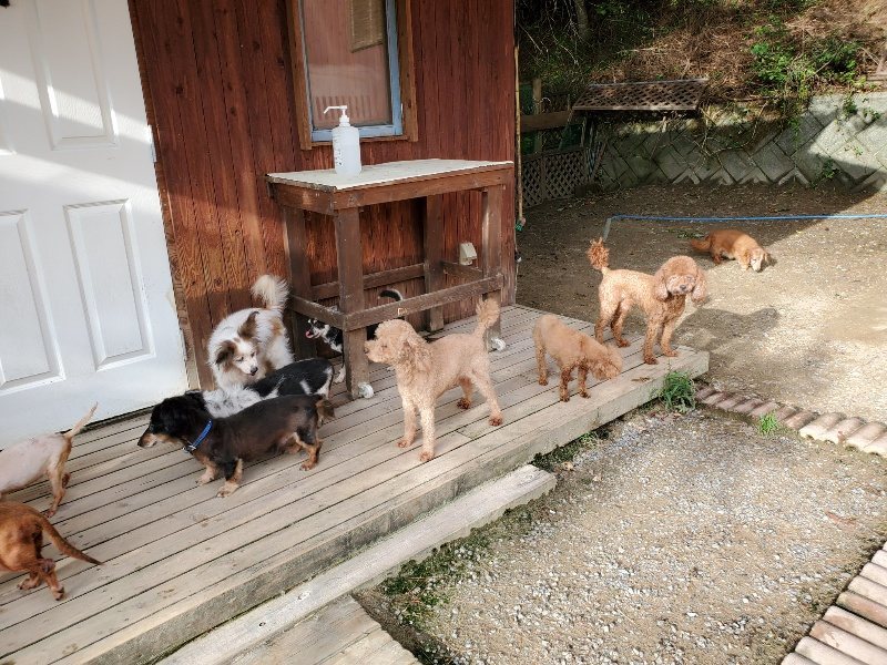 f:id:roukenhome-ann:20190924081007j:plain f:id:roukenhome-ann:20190924081007j:plain