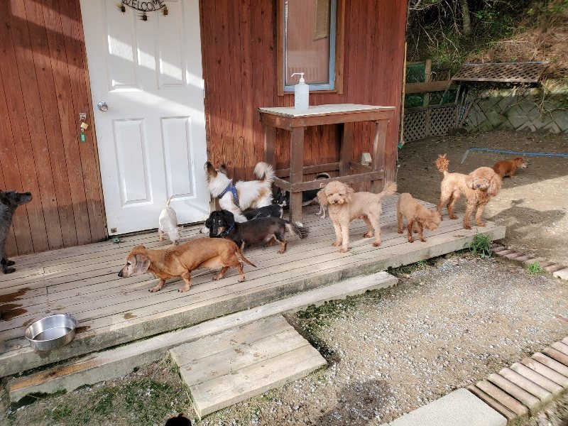 f:id:roukenhome-ann:20190924081030j:plain f:id:roukenhome-ann:20190924081030j:plain
