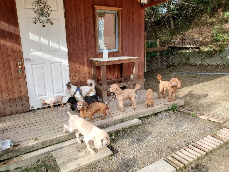 f:id:roukenhome-ann:20190924081036j:plain f:id:roukenhome-ann:20190924081036j:plain