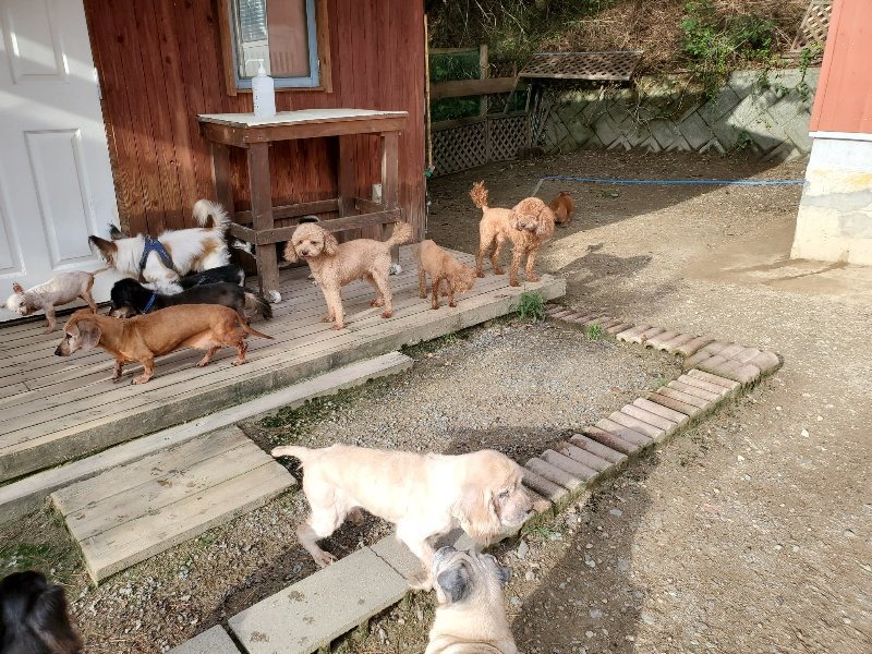f:id:roukenhome-ann:20190924081042j:plain f:id:roukenhome-ann:20190924081042j:plain