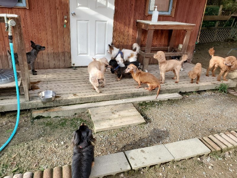 f:id:roukenhome-ann:20190924081048j:plain f:id:roukenhome-ann:20190924081048j:plain