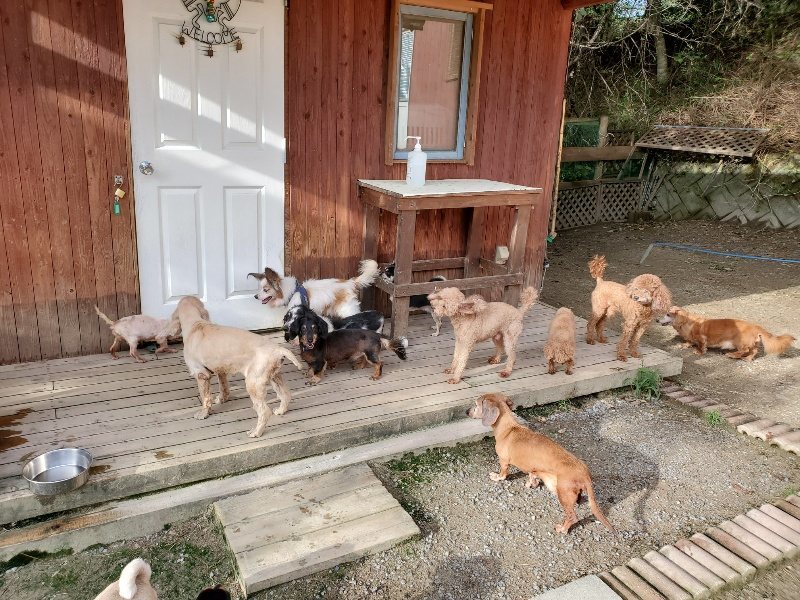 f:id:roukenhome-ann:20190924081053j:plain f:id:roukenhome-ann:20190924081053j:plain