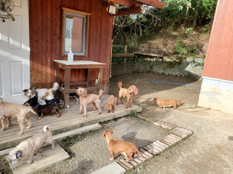 f:id:roukenhome-ann:20190924081104j:plain f:id:roukenhome-ann:20190924081104j:plain