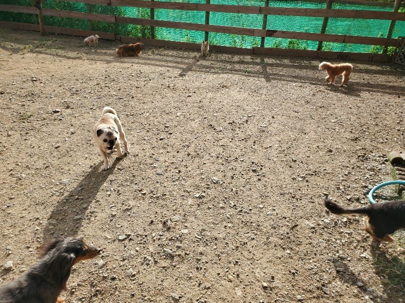 f:id:roukenhome-ann:20190924082459j:plain f:id:roukenhome-ann:20190924082459j:plain