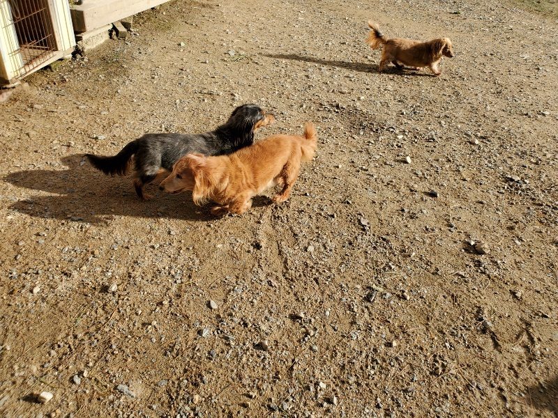 f:id:roukenhome-ann:20190924082511j:plain f:id:roukenhome-ann:20190924082511j:plain