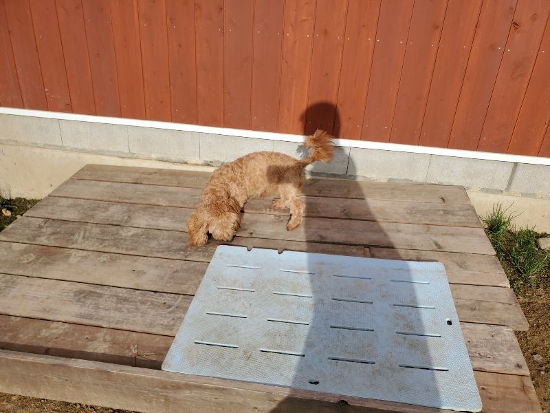 f:id:roukenhome-ann:20190924082526j:plain f:id:roukenhome-ann:20190924082526j:plain