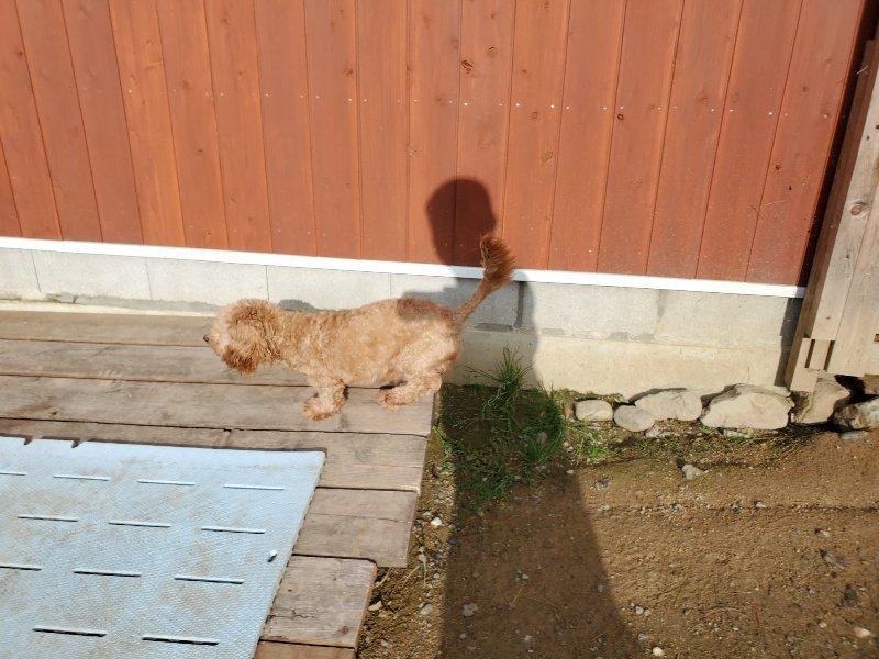 f:id:roukenhome-ann:20190924082531j:plain f:id:roukenhome-ann:20190924082531j:plain