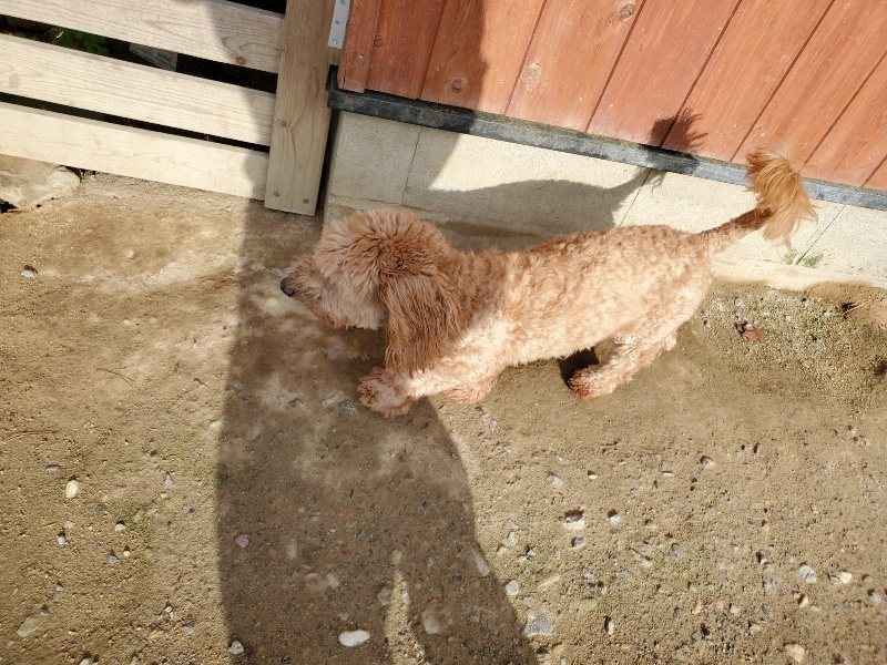 f:id:roukenhome-ann:20190924082536j:plain f:id:roukenhome-ann:20190924082536j:plain