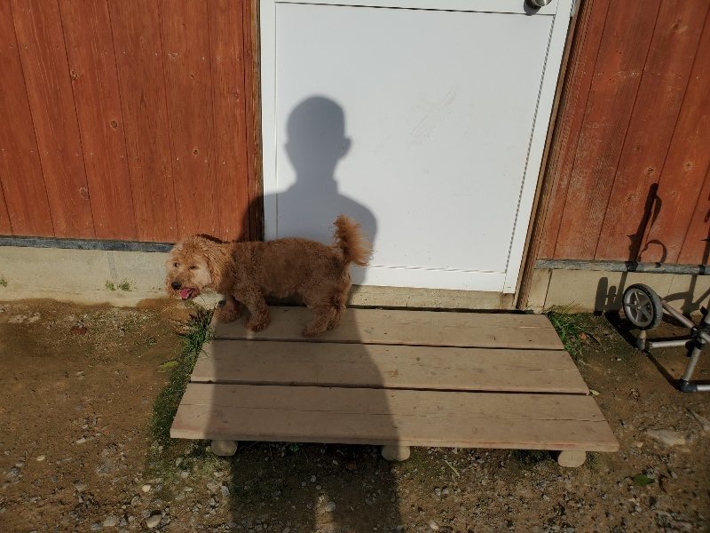 f:id:roukenhome-ann:20190924082558j:plain f:id:roukenhome-ann:20190924082558j:plain