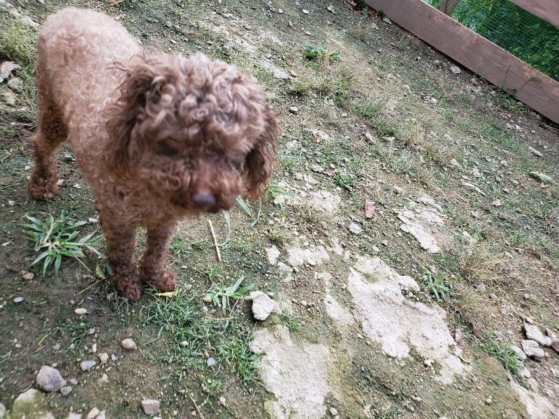 f:id:roukenhome-ann:20190924082618j:plain f:id:roukenhome-ann:20190924082618j:plain