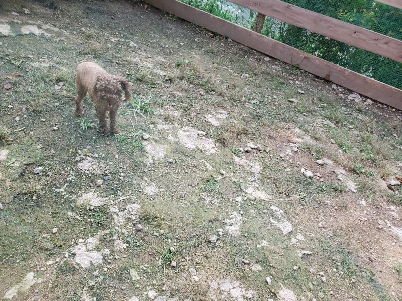 f:id:roukenhome-ann:20190924082631j:plain f:id:roukenhome-ann:20190924082631j:plain