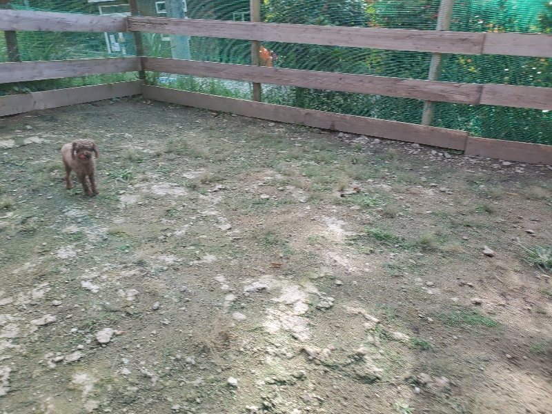f:id:roukenhome-ann:20190924082642j:plain f:id:roukenhome-ann:20190924082642j:plain