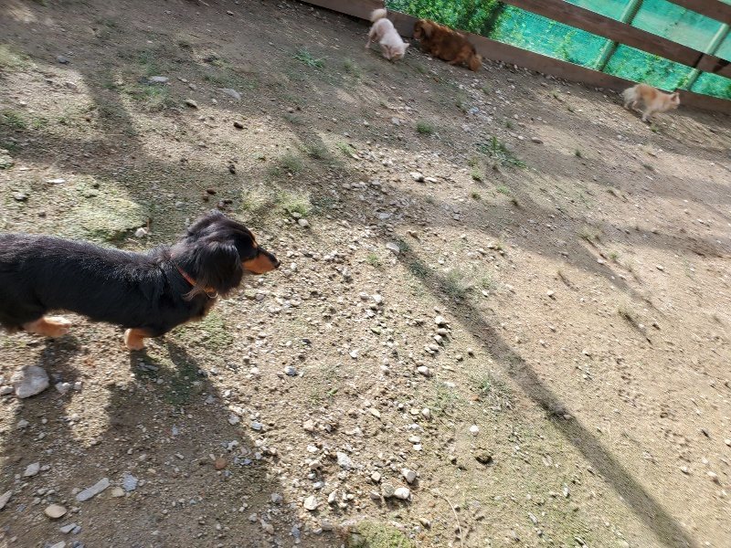 f:id:roukenhome-ann:20190924082700j:plain f:id:roukenhome-ann:20190924082700j:plain
