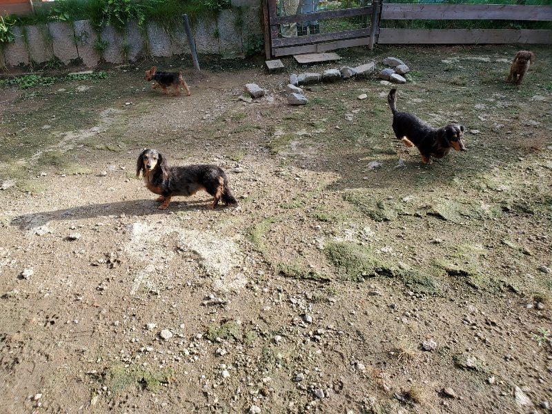 f:id:roukenhome-ann:20190924082705j:plain f:id:roukenhome-ann:20190924082705j:plain