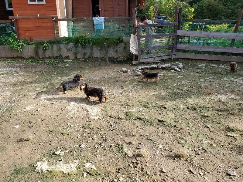 f:id:roukenhome-ann:20190924082716j:plain f:id:roukenhome-ann:20190924082716j:plain