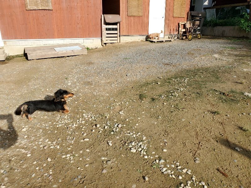f:id:roukenhome-ann:20190924082723j:plain f:id:roukenhome-ann:20190924082723j:plain