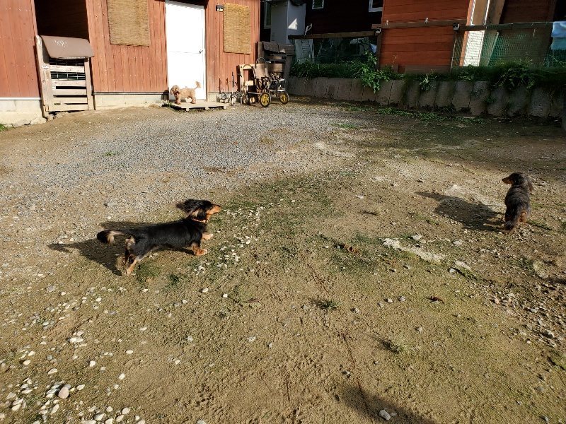 f:id:roukenhome-ann:20190924082728j:plain f:id:roukenhome-ann:20190924082728j:plain