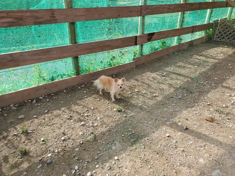 f:id:roukenhome-ann:20190924082753j:plain f:id:roukenhome-ann:20190924082753j:plain