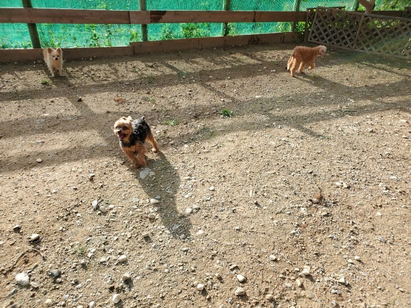 f:id:roukenhome-ann:20190924082812j:plain f:id:roukenhome-ann:20190924082812j:plain