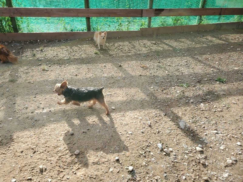 f:id:roukenhome-ann:20190924082818j:plain f:id:roukenhome-ann:20190924082818j:plain