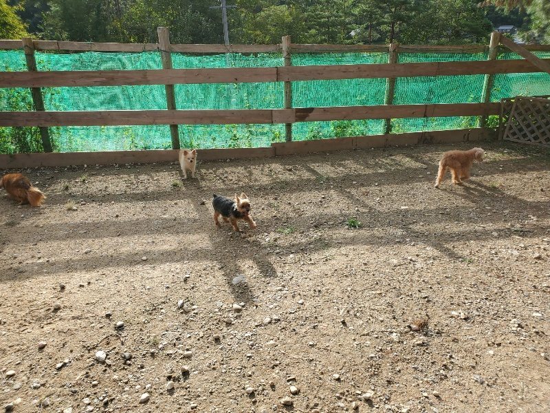 f:id:roukenhome-ann:20190924082824j:plain f:id:roukenhome-ann:20190924082824j:plain