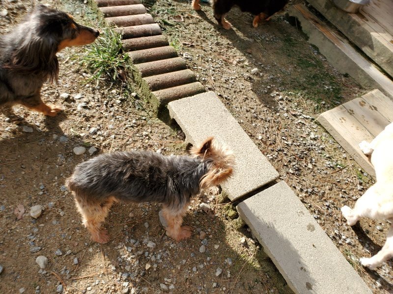 f:id:roukenhome-ann:20190924082837j:plain f:id:roukenhome-ann:20190924082837j:plain