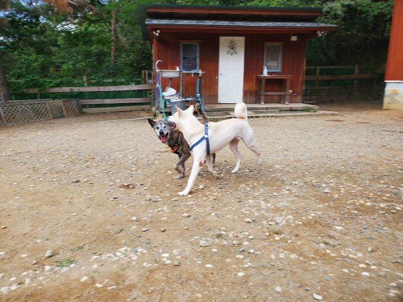 f:id:roukenhome-ann:20190930083532j:plain