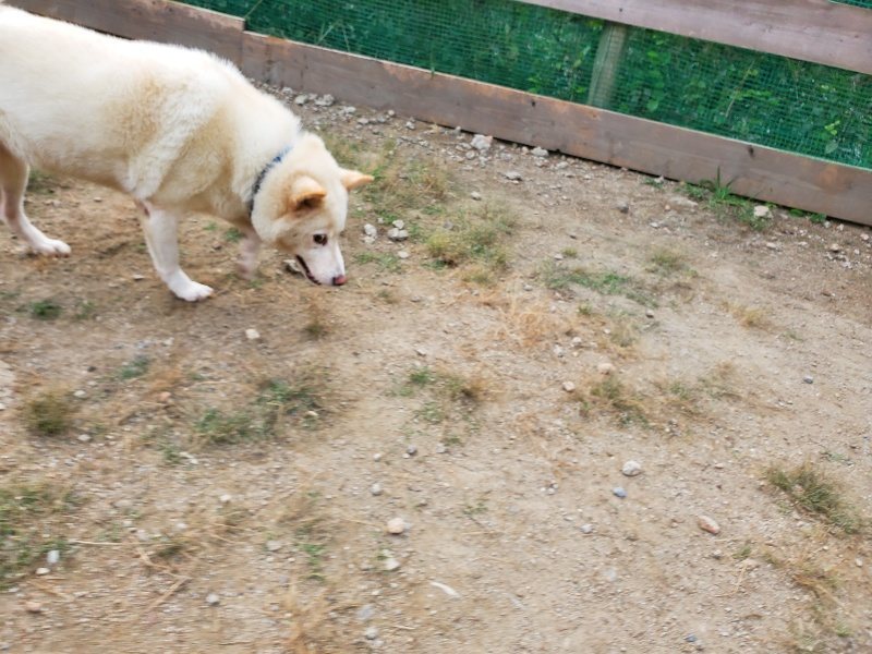 f:id:roukenhome-ann:20190930083708j:plain