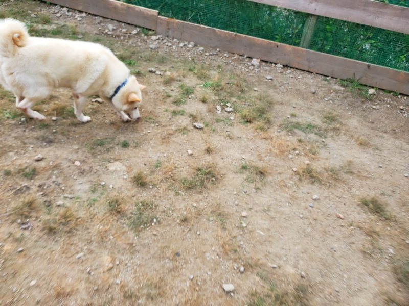 f:id:roukenhome-ann:20190930083714j:plain
